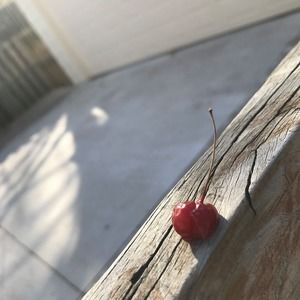 Meet your Posher, Joseph